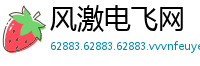风激电飞网